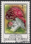 Stamps Hungary -  SETAS-HONGOS: 1.164.012,03-Amanita muscaria -Phil.47543-Dm.986.73-Y&T.3082-Mch.3872-Sc.3047