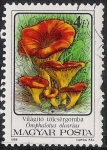 Stamps Hungary -  SETAS-HONGOS: 1.164.014,04-Omphalotus olearius -Phil.47544-Dm.986.75-Y&T.3084-Mch.3874-Sc.3049
