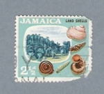 Stamps : America : Jamaica :  Land Shells