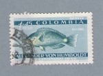 Stamps : America : Colombia :  Pez Loro