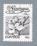 Stamps Nicaragua -  Flor