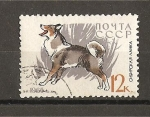 Stamps Russia -  Perros.