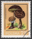 Stamps Poland -  SETAS-HONGOS: 1.211.014,02-Phallus hadriani -Dm.980.35-Y&T.2513-Mch.2696-Sc.2400