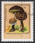 Stamps Poland -  SETAS-HONGOS: 1.211.014,01-Phallus hadriani -Dm.980.35-Y&T.2513-Mch.2696-Sc.2400