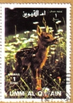 Stamps Asia - Saudi Arabia -  Animales