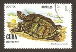 Sellos del Mundo : America : Cuba : reptiles
