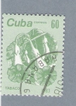 Stamps : America : Cuba :  Tabaco
