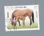 Sellos de America - Cuba -  Equinos