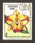 Stamps : America : Cuba :  orquídeas