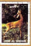 Stamps : Asia : Saudi_Arabia :  Animales