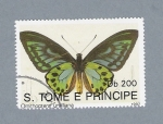 Stamps S�o Tom� and Pr�ncipe -  Mariposas Ornithoptera Urviliana