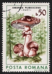 Stamps Romania -  SETAS-HONGOS: 1.213.021,02-Amanita rubescens -Dm.986.68-Y&T.3696-Mch.4288-Sc.3405