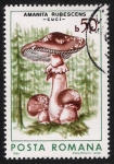 Stamps Romania -  SETAS-HONGOS: 1.213.021,01-Amanita rubescens -Dm.986.68-Y&T.3696-Mch.4288-Sc.3405