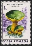 Stamps Romania -  SETAS-HONGOS: 1.213.022,01-Boletus luridus -Dm.986.69-Y&T.3697-Mch.4289-Sc.3406