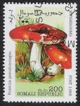Stamps Africa - Somalia -  SETAS:229.002(3)-Russula pseudointegra