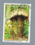 Stamps S�o Tom� and Pr�ncipe -  Strugilomyces Floccopus