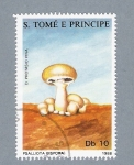 Stamps S�o Tom� and Pr�ncipe -  Psalliota Bispora
