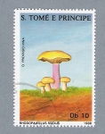 Stamps S�o Tom� and Pr�ncipe -  Rhodopaxillus Nudus