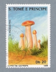 Stamps : Africa : S�o_Tom�_and_Pr�ncipe :  Clitocybe Geotropa