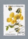 Stamps S�o Tom� and Pr�ncipe -  Coprinus Micaceus