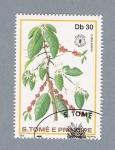Stamps Africa - S�o Tom� and Pr�ncipe -  Colfea Arábica