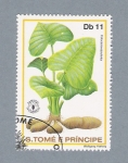 Stamps S�o Tom� and Pr�ncipe -  Colocasia Esculenta