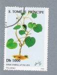Stamps : Africa : S�o_Tom�_and_Pr�ncipe :  Piper Umbellatum Linn
