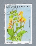 Stamps Africa - S�o Tom� and Pr�ncipe -  Salaconta