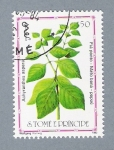 Stamps S�o Tom� and Pr�ncipe -  Achyranthes Aspera