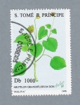 Stamps : Africa : S�o_Tom�_and_Pr�ncipe :  Abutilon Grandiflorum  "Maliva"