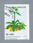 Stamps S�o Tom� and Pr�ncipe -  Eryngium Fortidum Linn