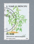 Stamps S�o Tom� and Pr�ncipe -  Chenopodium Ambrosiodes