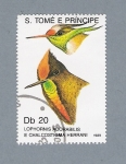 Stamps : Africa : S�o_Tom�_and_Pr�ncipe :  Lophornis Adorabilis
