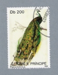 Stamps : Africa : S�o_Tom�_and_Pr�ncipe :  Pavo Real