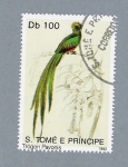 Stamps : Africa : S�o_Tom�_and_Pr�ncipe :  Trogon Pavonis