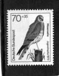 Stamps Germany -  R.F.A.