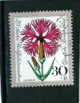 Stamps : Europe : Germany :  R.F.A.