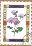 Stamps Asia - Saudi Arabia -  Flores