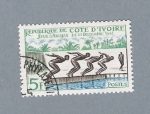 Stamps Africa - Ivory Coast -  Nadadores