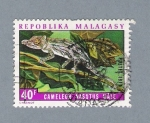 Stamps : Africa : Madagascar :  Lagarto