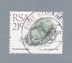 Stamps : Africa : South_Africa :  21c