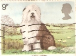 Stamps United Kingdom -  ANIMALES