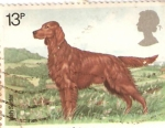 Stamps : Europe : United_Kingdom :  ANIMALES