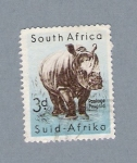 Stamps South Africa -  Rinoceronte