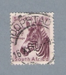 Stamps : Africa : South_Africa :  Cebra
