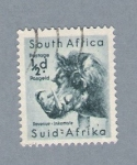 Sellos del Mundo : Africa : Sudfrica : Jabali