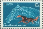 Stamps Russia -  SOVIETICO-CRIA DE CABALLOS