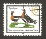 Stamps Germany -  animales amenazados de extincion, branta ruficollis