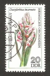 Stamps Germany -  orquidea, dactylorhiza incarnata