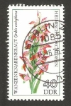 Stamps Germany -  1815 - Orquídea orchis coriophora